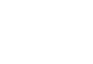 Laundry Van Icon